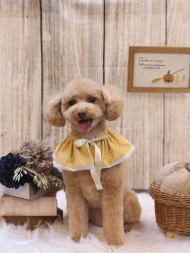 20241025めるちゃん